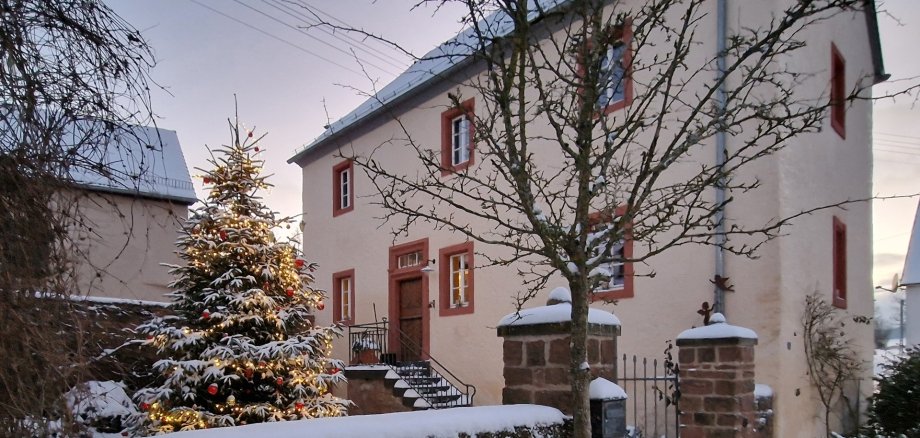 Weihnachtsgrüße Landrätin Julia Gieseking Bild Weihnachtsbaum