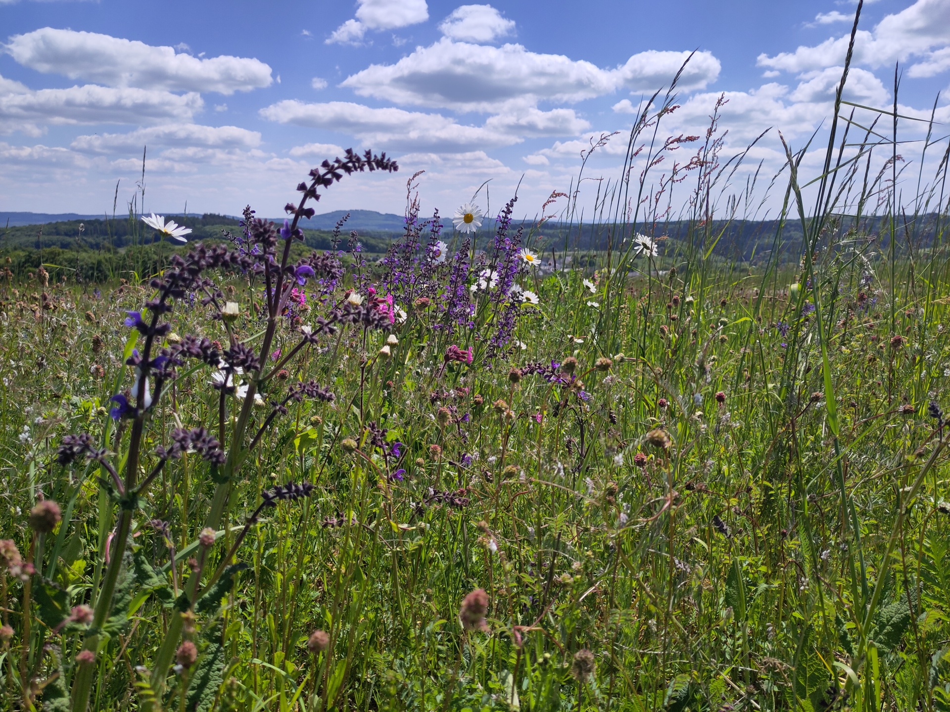 v. l. n. r.: Dr. Hendrik Albrecht und Christine Kewes vor der Geschäftsstelle in Daun. 