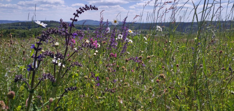 v. l. n. r.: Dr. Hendrik Albrecht und Christine Kewes vor der Geschäftsstelle in Daun.