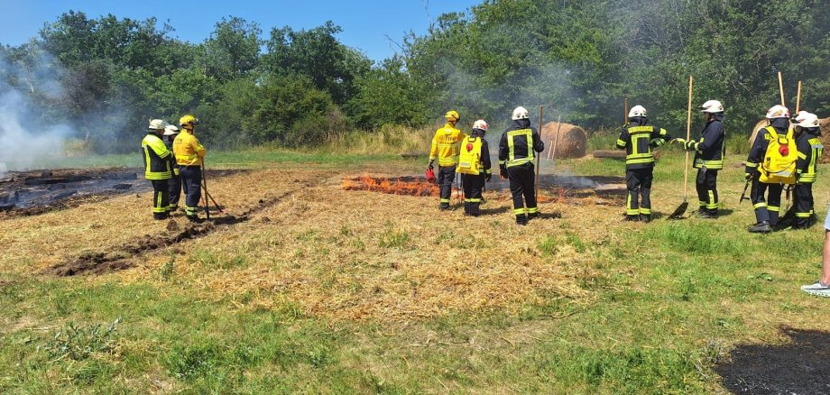 Realitätsnahe Waldbrandübung: Einsatzkräfte bei der Bekämpfung eines simulierten Vege-tationsbrandes. © BKI / Kreisverwaltung Vulkaneifel