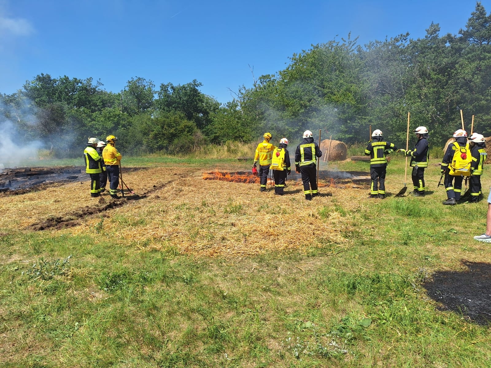 Realitätsnahe Waldbrandübung: Einsatzkräfte bei der Bekämpfung eines simulierten Vegetationsbrandes.