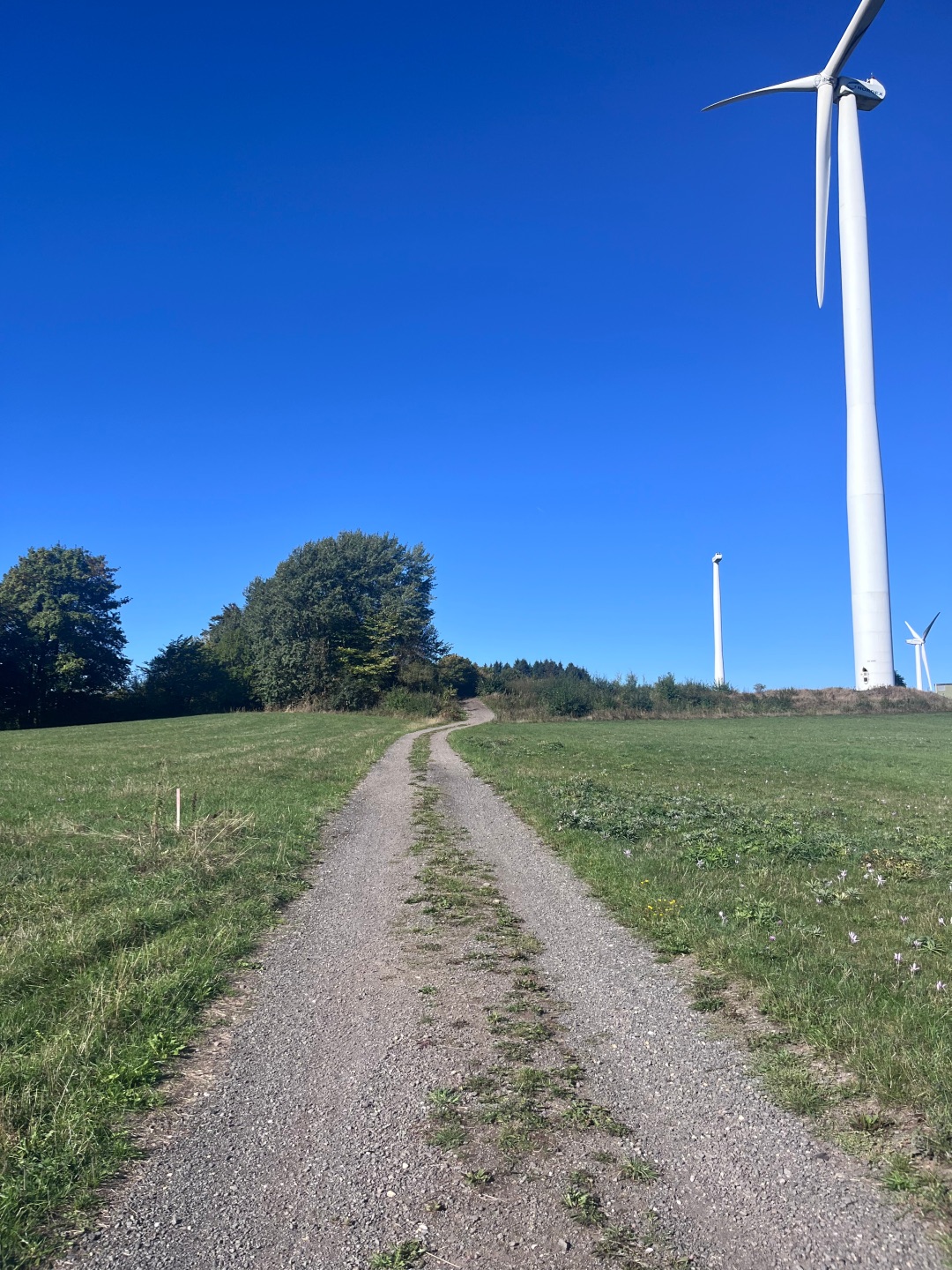 Seit 2013 stillstehende Windenergieanlagen in Walsdorf-Zilsdorf werden nun zurückgebaut.