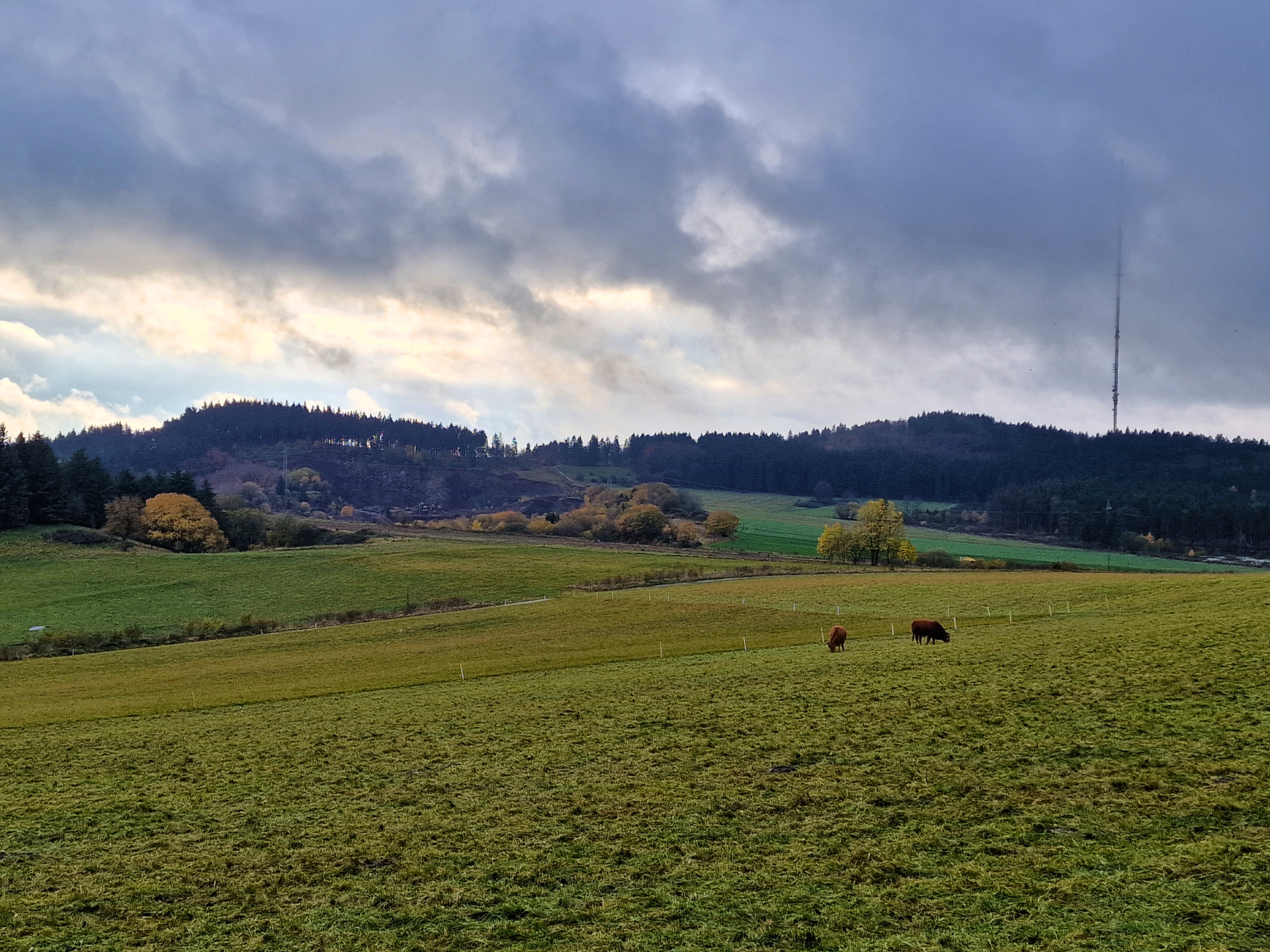 Blick auf den Scharteberg