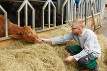 kategorie landwirtschaft